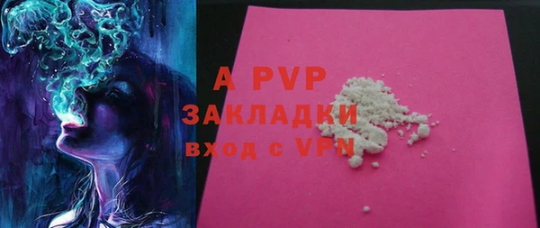 ПСИЛОЦИБИНОВЫЕ ГРИБЫ Богданович