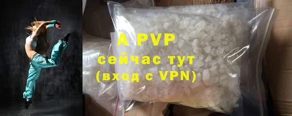 ПСИЛОЦИБИНОВЫЕ ГРИБЫ Богданович