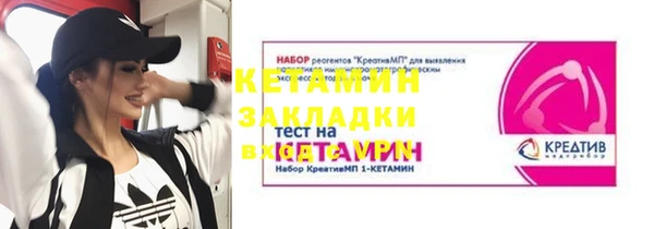 ПСИЛОЦИБИНОВЫЕ ГРИБЫ Богданович