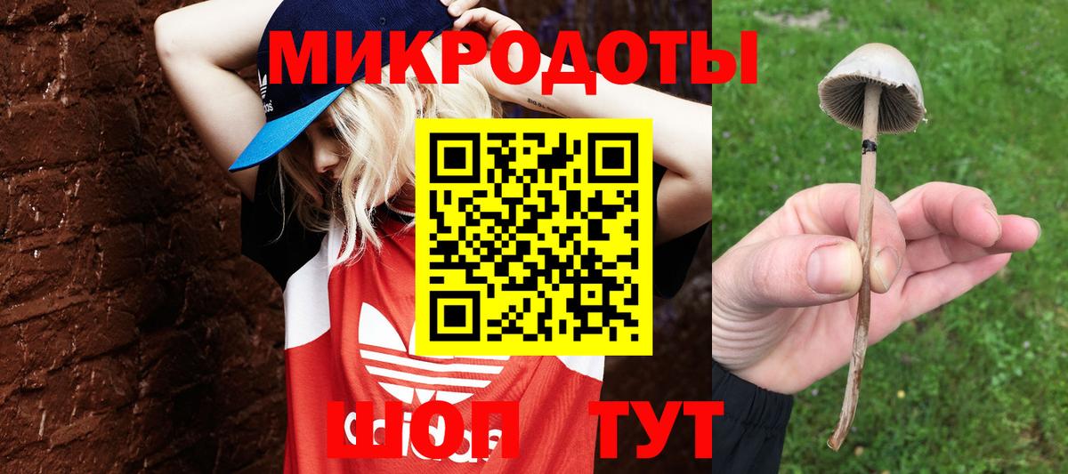 Псилоцибиновые грибы ЛСД Вязники