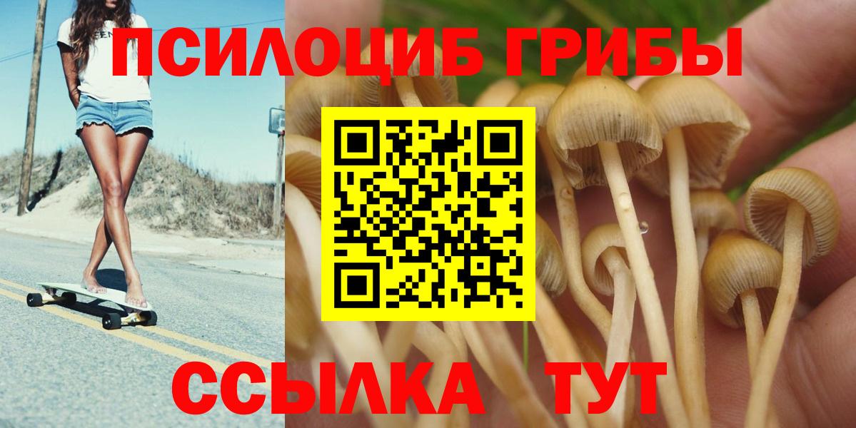 Галлюциногенные грибы Magic Shrooms  Вход с VPN  Вязники 