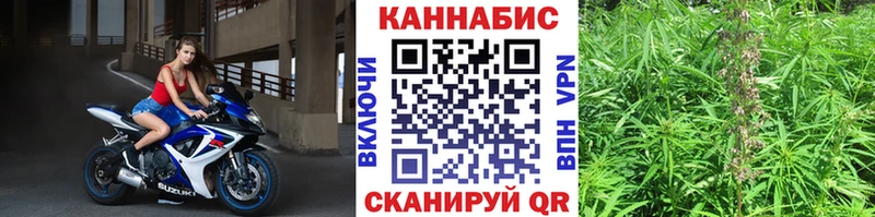 купить наркотик  Вязники  блэк спрут как войти  Бошки Шишки тримм 